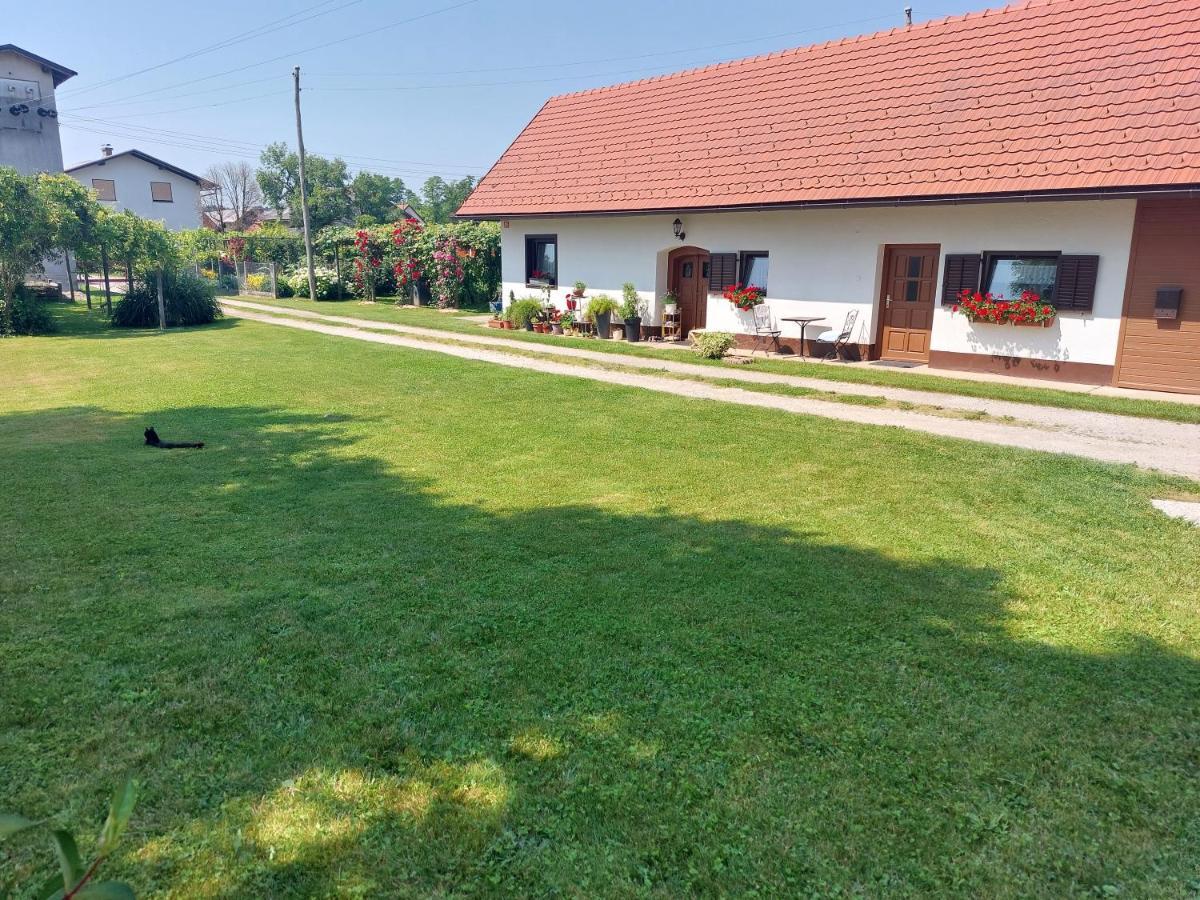 Apartment Apartma Vida Videm pri Ptuju